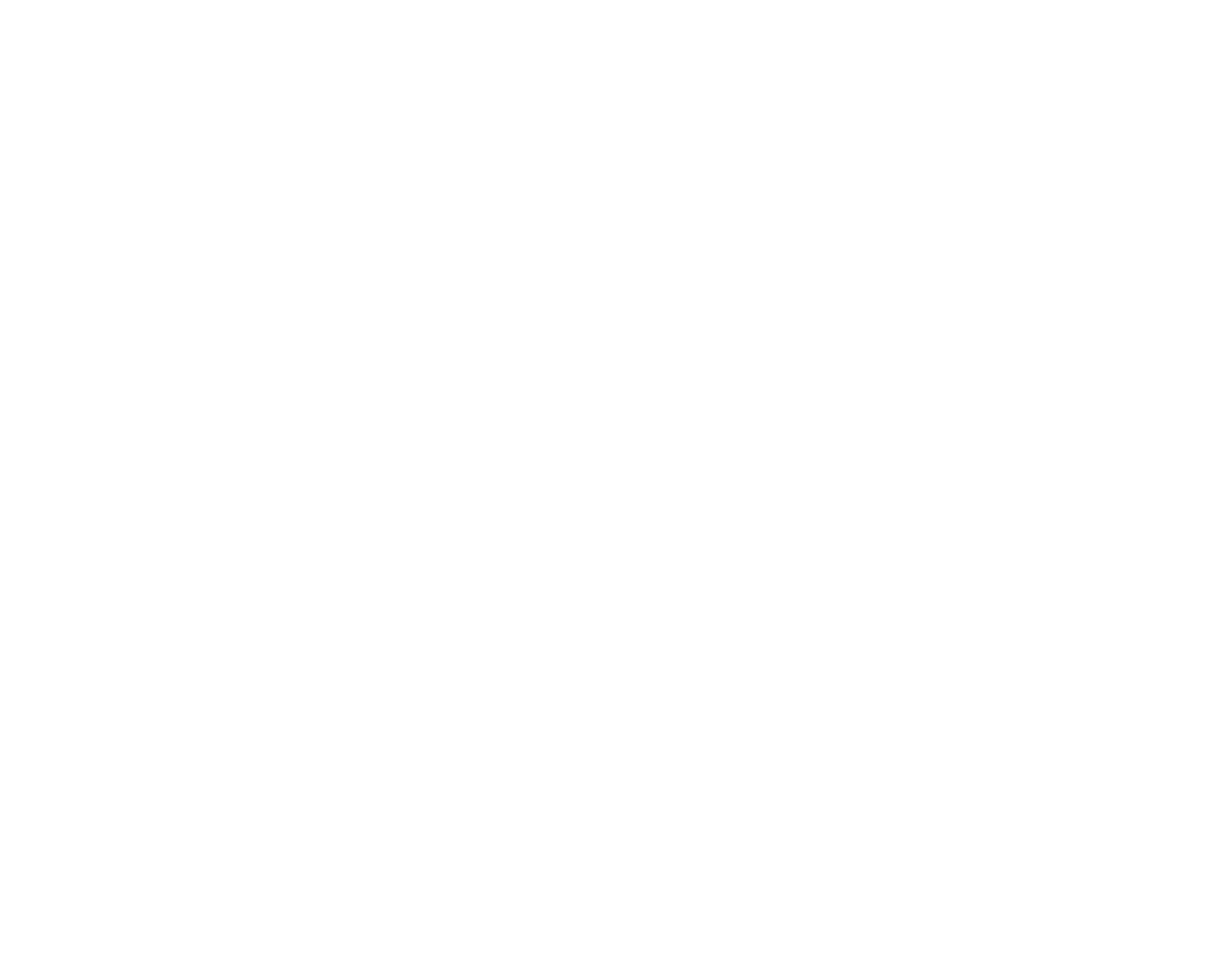 Tampa Bay Fashion Experience