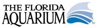 2020 FLAQ LOGO